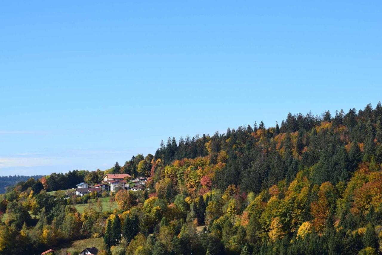 Ferienwohnungen Geiger Bodenmais Exteriör bild