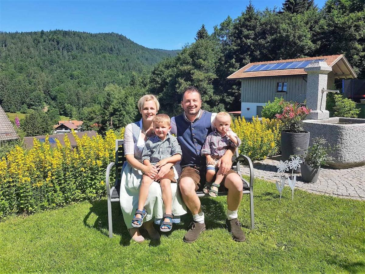 Ferienwohnungen Geiger Bodenmais Exteriör bild